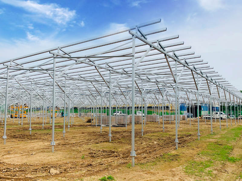 发电种植两不误，安泰新能源助力韩国农光互补光伏项目